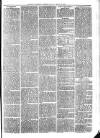 Exmouth Journal Saturday 20 March 1875 Page 7