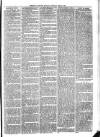 Exmouth Journal Saturday 03 April 1875 Page 3