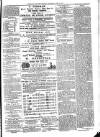 Exmouth Journal Saturday 03 April 1875 Page 5