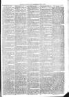 Exmouth Journal Saturday 17 April 1875 Page 3