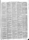 Exmouth Journal Saturday 05 June 1875 Page 3