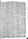 Exmouth Journal Saturday 12 June 1875 Page 3