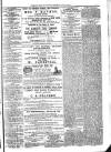 Exmouth Journal Saturday 12 June 1875 Page 5