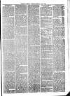 Exmouth Journal Saturday 12 June 1875 Page 7