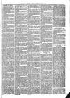 Exmouth Journal Saturday 17 July 1875 Page 3