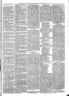 Exmouth Journal Saturday 21 August 1875 Page 3