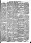 Exmouth Journal Saturday 02 October 1875 Page 3