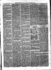 Exmouth Journal Saturday 05 February 1876 Page 3