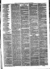 Exmouth Journal Saturday 18 March 1876 Page 7