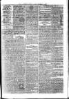 Exmouth Journal Saturday 04 November 1876 Page 7