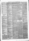 Exmouth Journal Saturday 10 February 1877 Page 7
