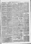 Exmouth Journal Saturday 03 March 1877 Page 3