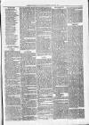 Exmouth Journal Saturday 03 March 1877 Page 7