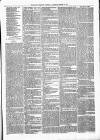 Exmouth Journal Saturday 10 March 1877 Page 7