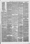 Exmouth Journal Saturday 05 May 1877 Page 7