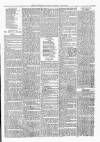 Exmouth Journal Saturday 07 July 1877 Page 7