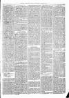 Exmouth Journal Saturday 05 January 1878 Page 3