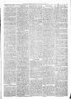 Exmouth Journal Saturday 02 March 1878 Page 3