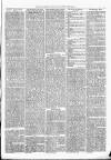 Exmouth Journal Saturday 22 June 1878 Page 7