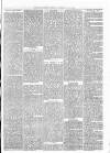 Exmouth Journal Saturday 03 August 1878 Page 3