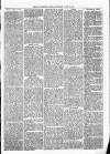 Exmouth Journal Saturday 10 August 1878 Page 7
