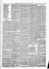 Exmouth Journal Saturday 17 August 1878 Page 3