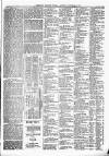 Exmouth Journal Saturday 09 November 1878 Page 5