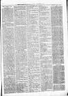 Exmouth Journal Saturday 14 December 1878 Page 7