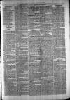 Exmouth Journal Saturday 04 January 1879 Page 3