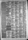 Exmouth Journal Saturday 04 January 1879 Page 5
