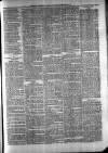 Exmouth Journal Saturday 08 February 1879 Page 3