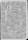 Exmouth Journal Saturday 22 February 1879 Page 3