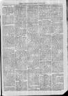 Exmouth Journal Saturday 15 March 1879 Page 3