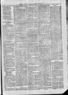 Exmouth Journal Saturday 15 March 1879 Page 7