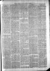 Exmouth Journal Saturday 22 March 1879 Page 7