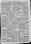 Exmouth Journal Saturday 29 March 1879 Page 3