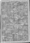 Exmouth Journal Saturday 21 June 1879 Page 3