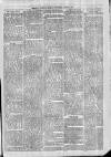 Exmouth Journal Saturday 02 August 1879 Page 3