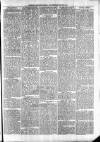 Exmouth Journal Saturday 06 December 1879 Page 7