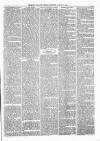 Exmouth Journal Saturday 10 January 1880 Page 3