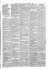 Exmouth Journal Saturday 13 March 1880 Page 3