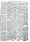 Exmouth Journal Saturday 20 March 1880 Page 7