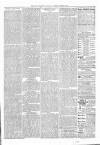 Exmouth Journal Saturday 19 June 1880 Page 7