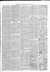 Exmouth Journal Saturday 10 July 1880 Page 3
