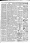 Exmouth Journal Saturday 24 July 1880 Page 7