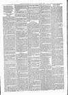 Exmouth Journal Saturday 31 July 1880 Page 3