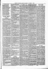 Exmouth Journal Saturday 11 September 1880 Page 3