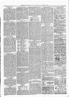 Exmouth Journal Saturday 27 November 1880 Page 3