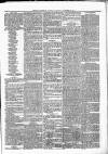 Exmouth Journal Saturday 18 December 1880 Page 3