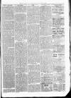 Exmouth Journal Saturday 22 January 1881 Page 3